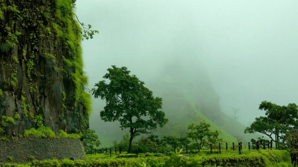 treks in lonavala