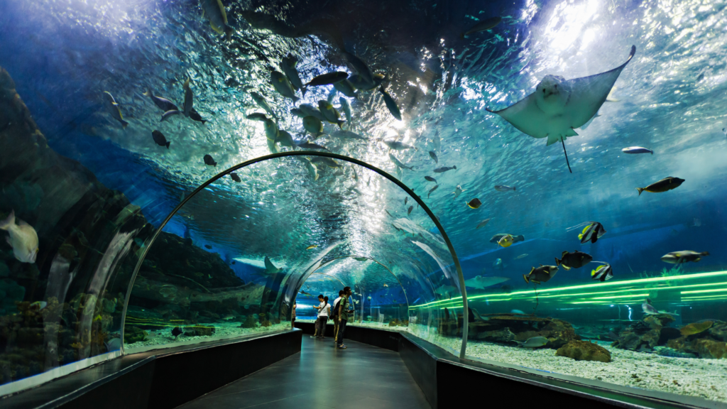 Dubai Aquarium and underwater zoo